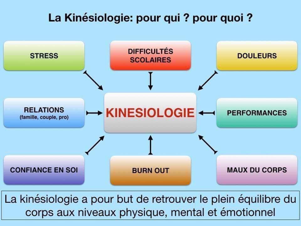 diagramme des bienfaits